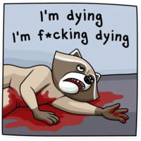 Криминальный Енот