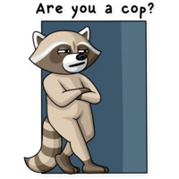 Криминальный Енот