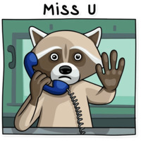 Криминальный Енот