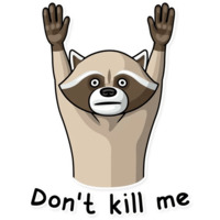 Криминальный Енот