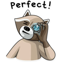 Криминальный Енот