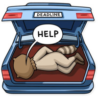 Криминальный Енот