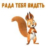 @animesticks :: Заяц, Ёжик и Белка из Маши и Медведя