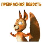 @animesticks :: Заяц, Ёжик и Белка из Маши и Медведя