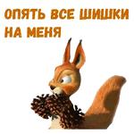 @animesticks :: Заяц, Ёжик и Белка из Маши и Медведя