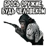 Полосатый рейс (ч.2) :: @elsticko