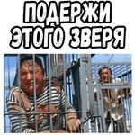 Полосатый рейс (ч.2) :: @elsticko