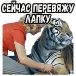 Полосатый рейс (ч.2) :: @elsticko