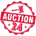 Бот Auction24