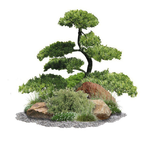 Ваш ландшафт 🌱