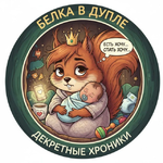 белка в дупле