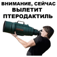 Птеродактили
