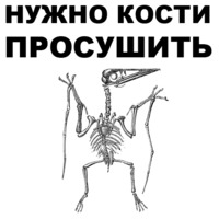 Птеродактили