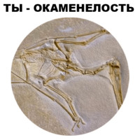 Птеродактили