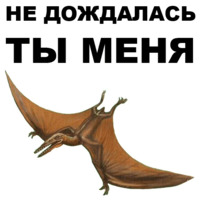 Птеродактили