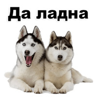 Щенки