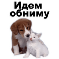 Щенки