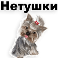 Щенки
