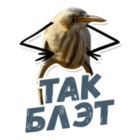 ТАК БЛЭТ