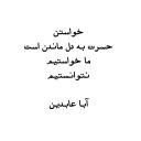 aba abedin