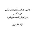 aba abedin