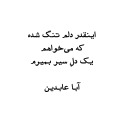 aba abedin