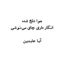 aba abedin