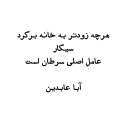 aba abedin