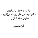 aba abedin
