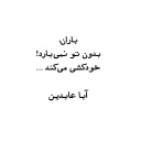 aba abedin