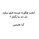 aba abedin