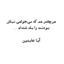 aba abedin