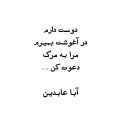 aba abedin