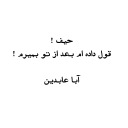 aba abedin