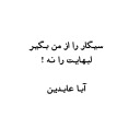 aba abedin