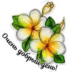 Акварель