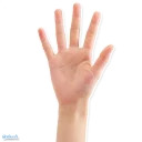 afasoft1