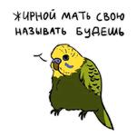 Злые попугайчики (@artstriks)