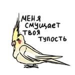 Злые попугайчики (@artstriks)