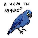 Злые попугайчики (@artstriks)