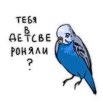 Злые попугайчики (@artstriks)
