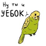 Злые попугайчики (@artstriks)