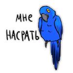 Злые попугайчики (@artstriks)