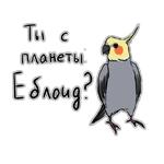 Злые попугайчики (@artstriks)