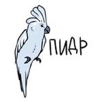 Злые попугайчики (@artstriks)