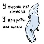 Злые попугайчики (@artstriks)