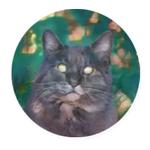 AI Cats (@ai_today)
