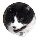 AI Cats (@ai_today)