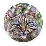 AI Cats (@ai_today)