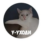 AI Cats (@ai_today)